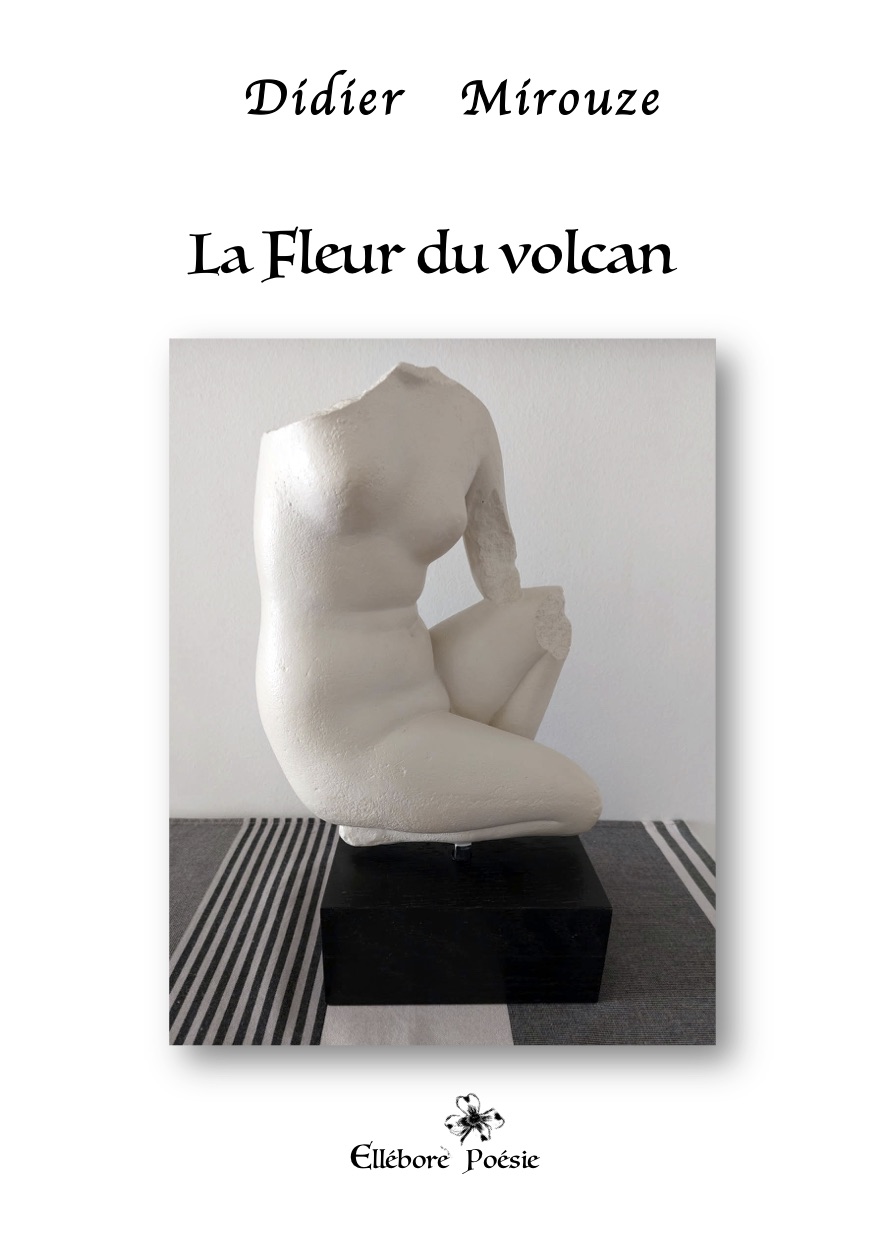 Didier Mirouze « La fleur du volcan » 